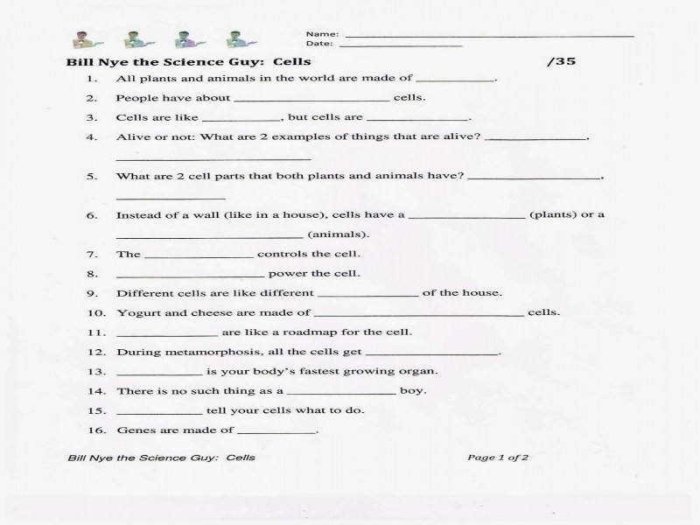 Bill nye erosion video worksheet