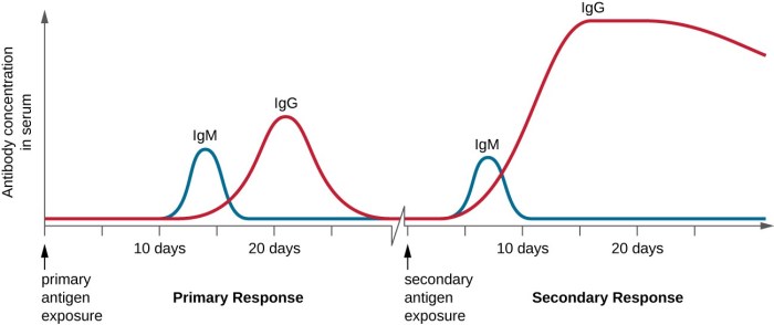 The effects of irritants are measured in what manner