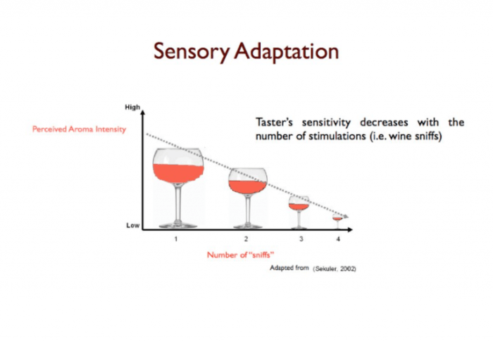 Adaptation biologyonline dictionary